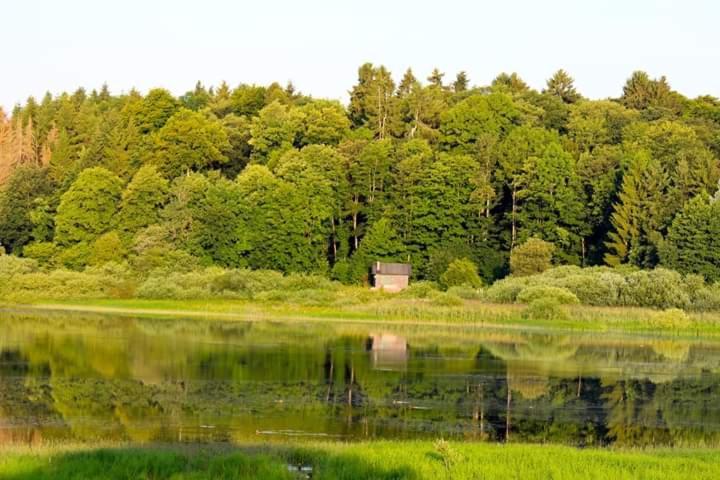 Ferienhaus Mauer Krombachtalsperre, Exclusive Nebenkosten Strom Driedorf Eksteriør billede